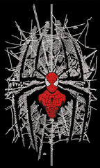 Spider-Man: Brand New Day